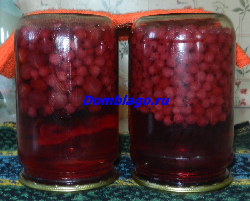 Малиновый компот