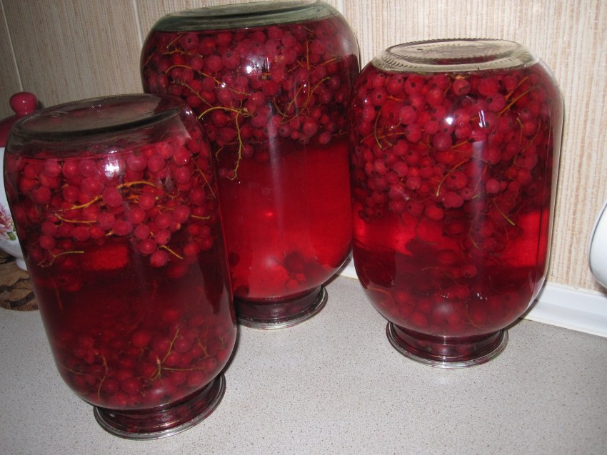 Компот вишня крыжовник слива
