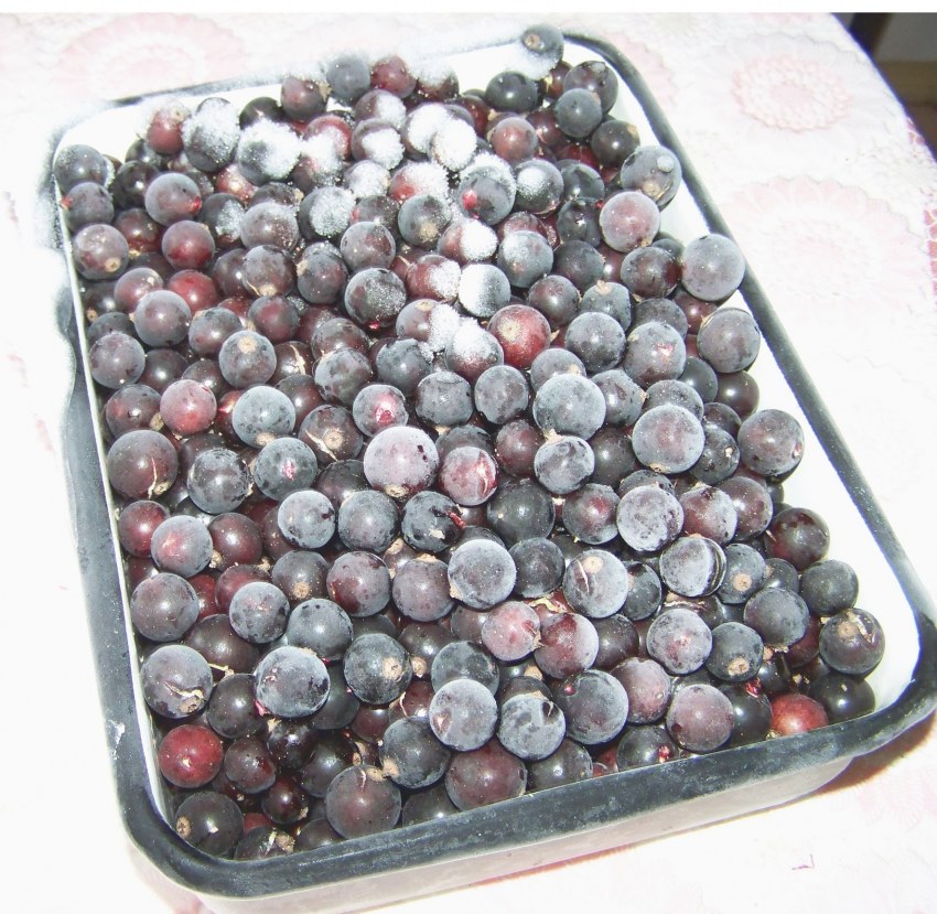 Смородина черная, замороженная