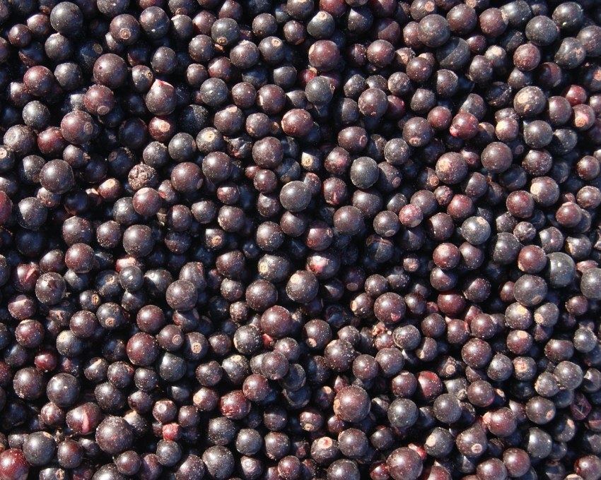 Смородина черная, замороженная