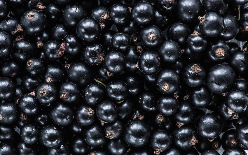 Frozen skinny Black Currant
