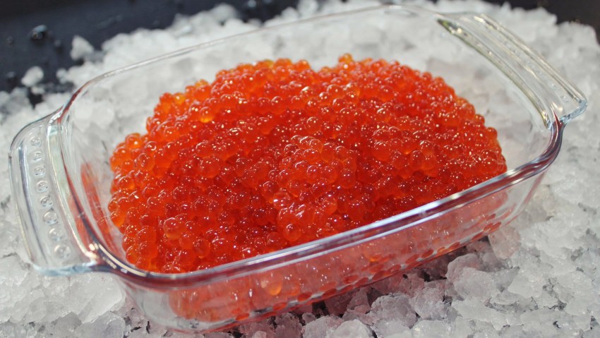 Икра красноперки