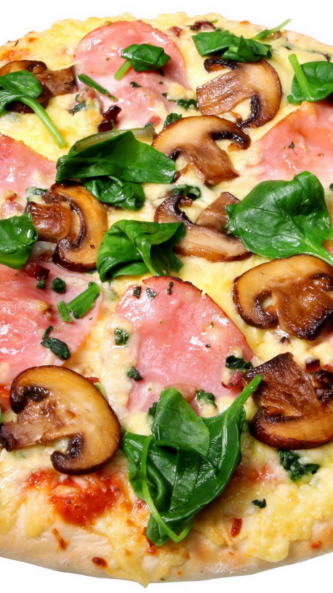 пицца с грибами и колбасой и помидорами и с сыром в духовке на дрожжевом тесте фото 80