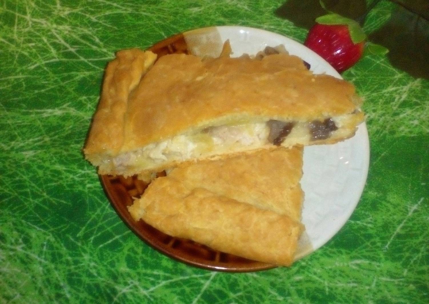 Мясной пирог на сметанном тесте