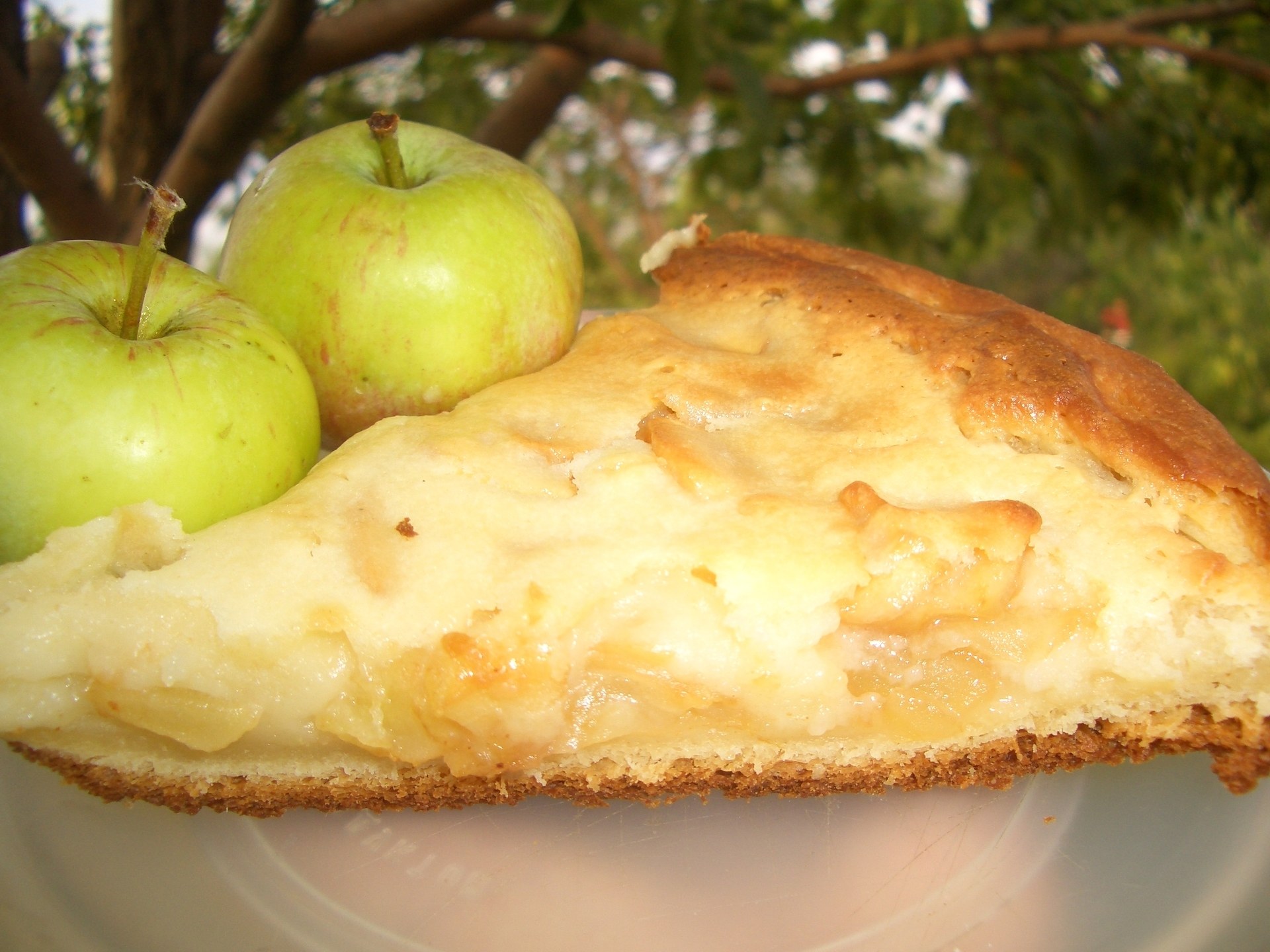Рецепт начинки из свежих яблок. Цветаевский яблочный пирог. Яблочный пирог со сметанной заливкой. Пирог с начинкой из яблок. Пирог нежность с яблоками.
