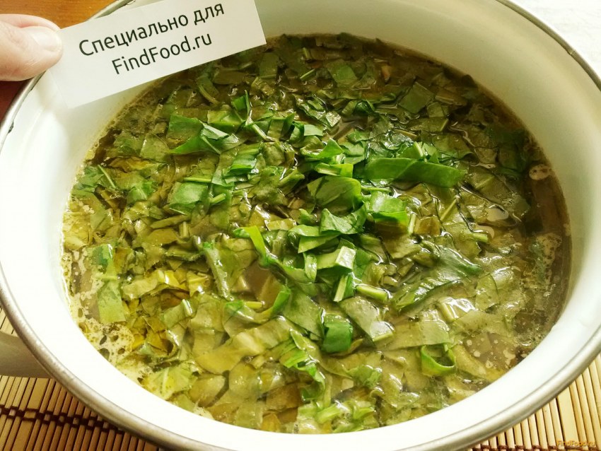 Щавелевый суп с шампиньонами