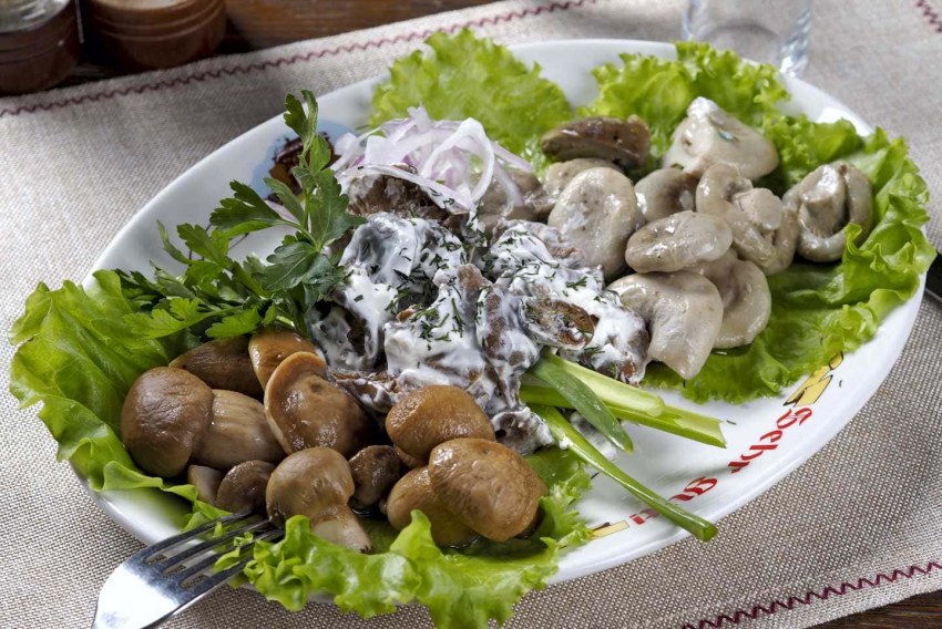 Холодные закуски из грибов