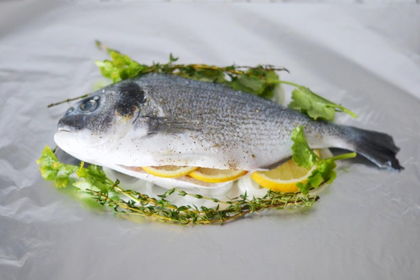 Морской карась дорадо