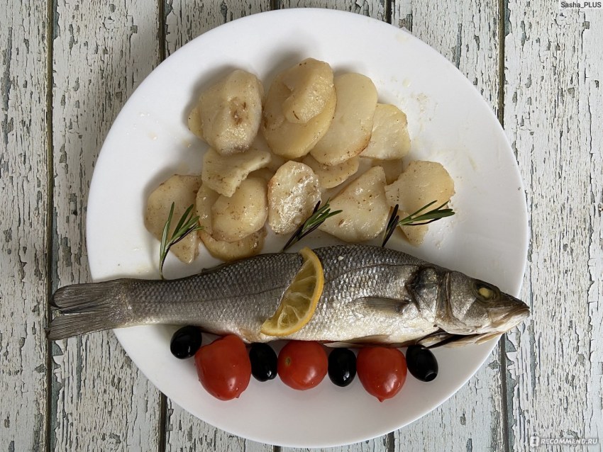 Морской карась дорадо