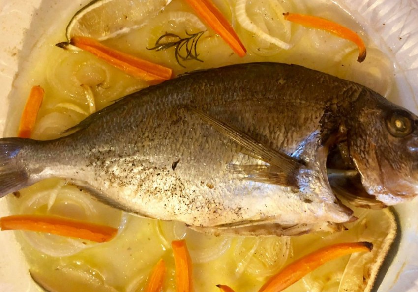 Морской карась дорадо