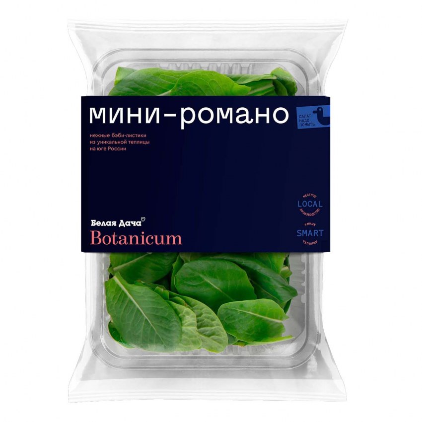 Бейби Ромейн