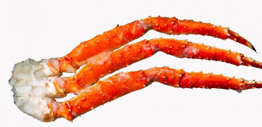 Клешни Камчатского краба