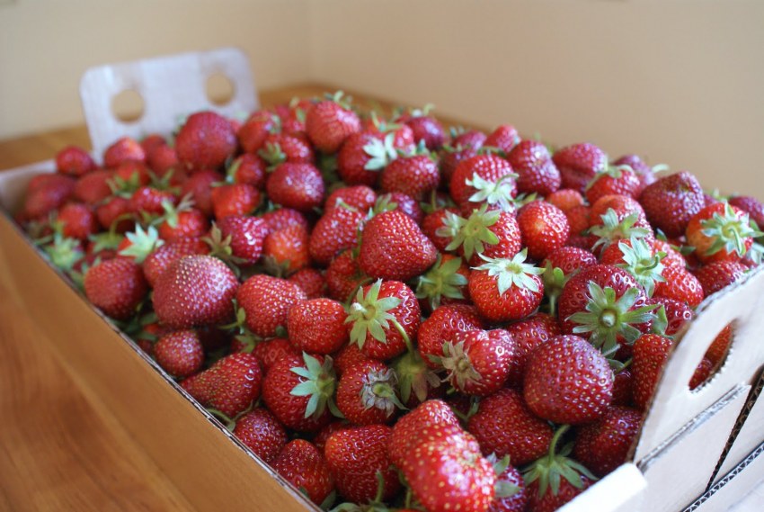 Sweet Strawberry Амстердам
