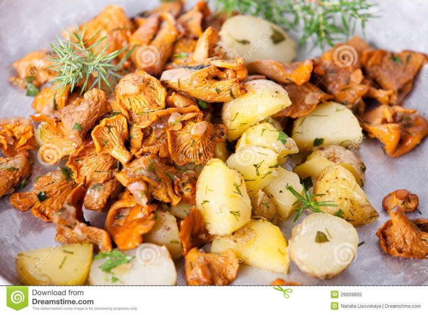 Блюда с лисичками