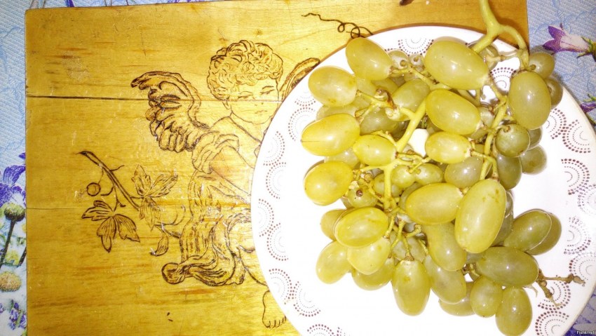 Дамские пальчики виноград кишмиш