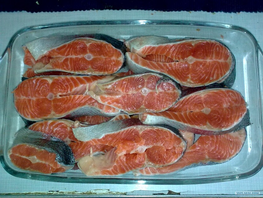 Форель в духовке кусочками