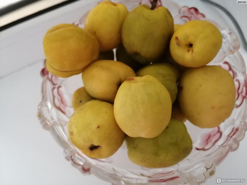 Картошка с айвой