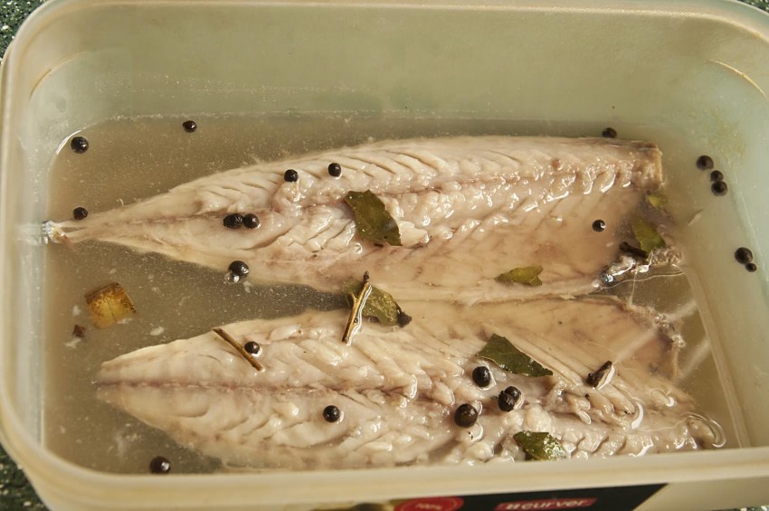 Скумбрия Мавританка