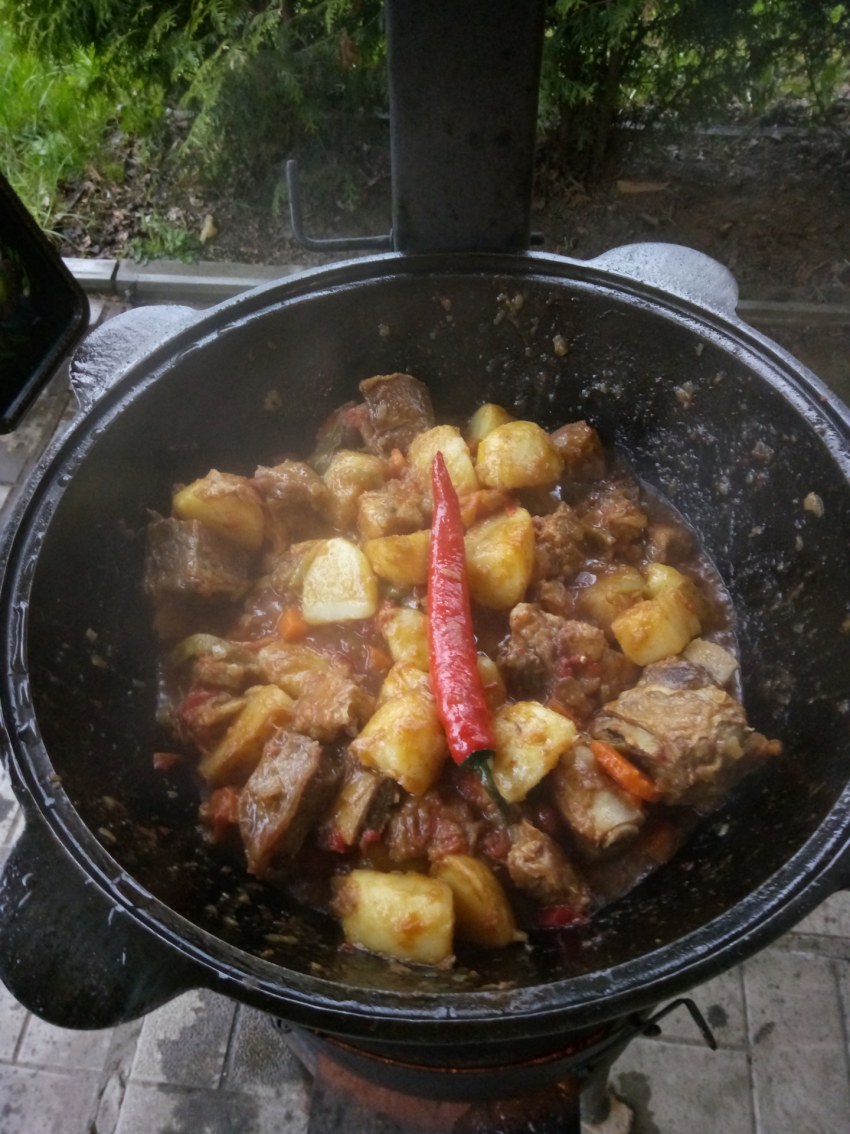 Дымлама узбекская