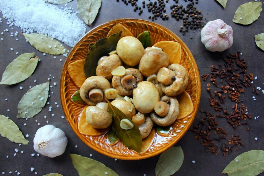 Улитки для ресторанов поставка