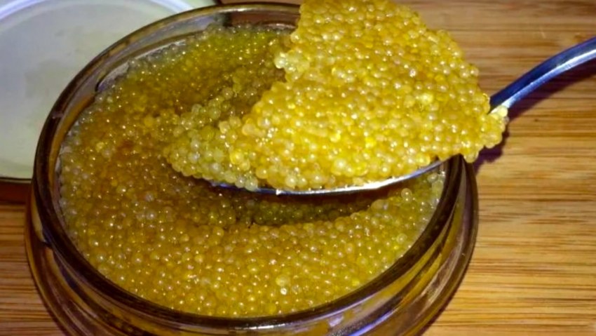 Щучья икра соленая