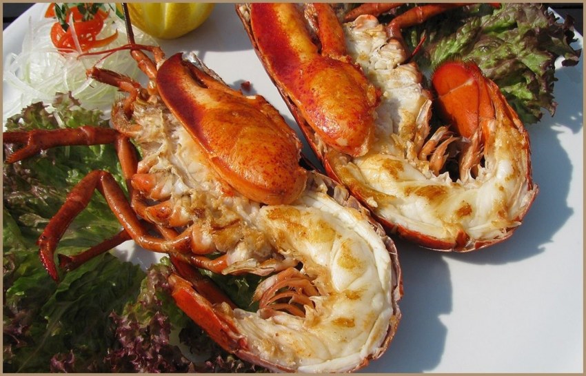 Лангустины в море