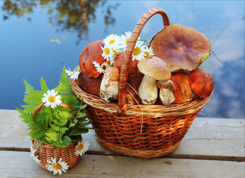 Корзинка с грибами