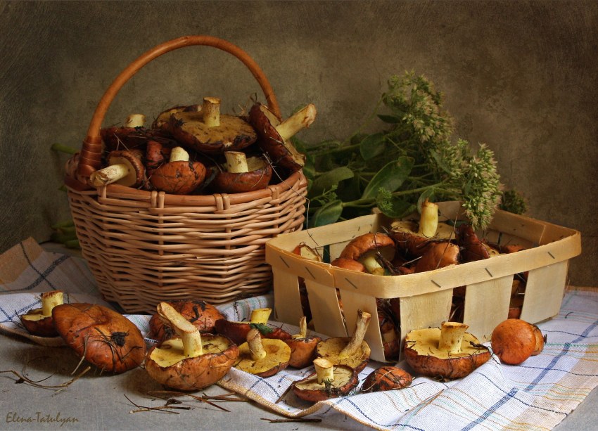Корзинка с грибами и листьями