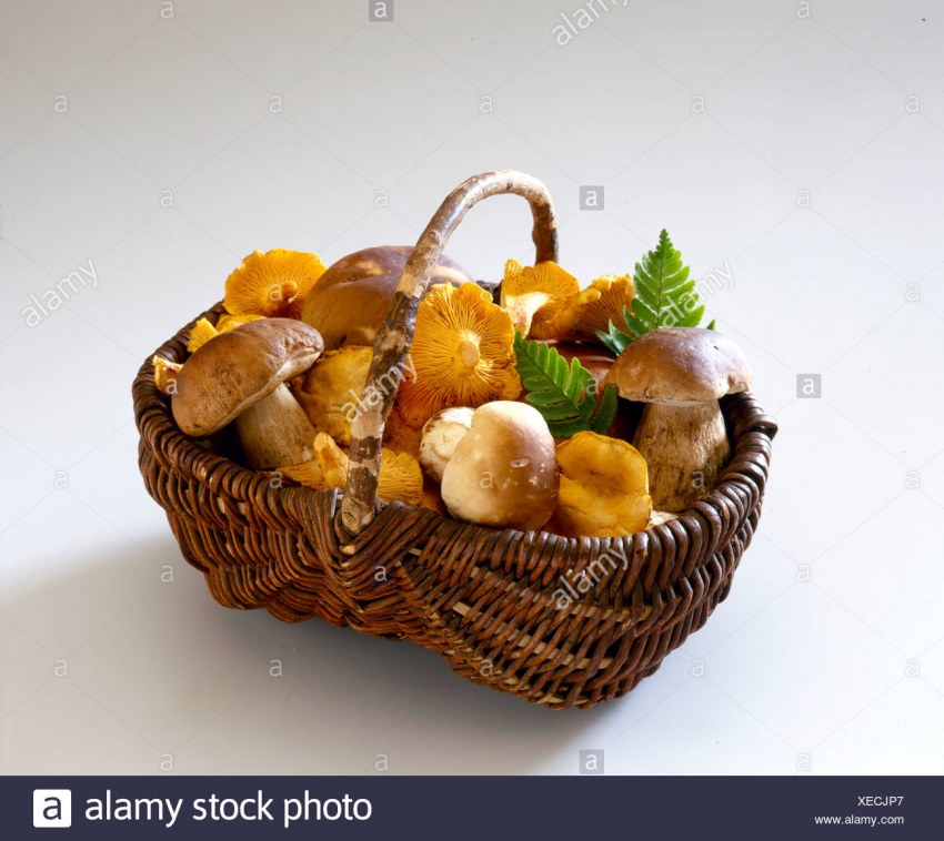 Корзинка грибочки