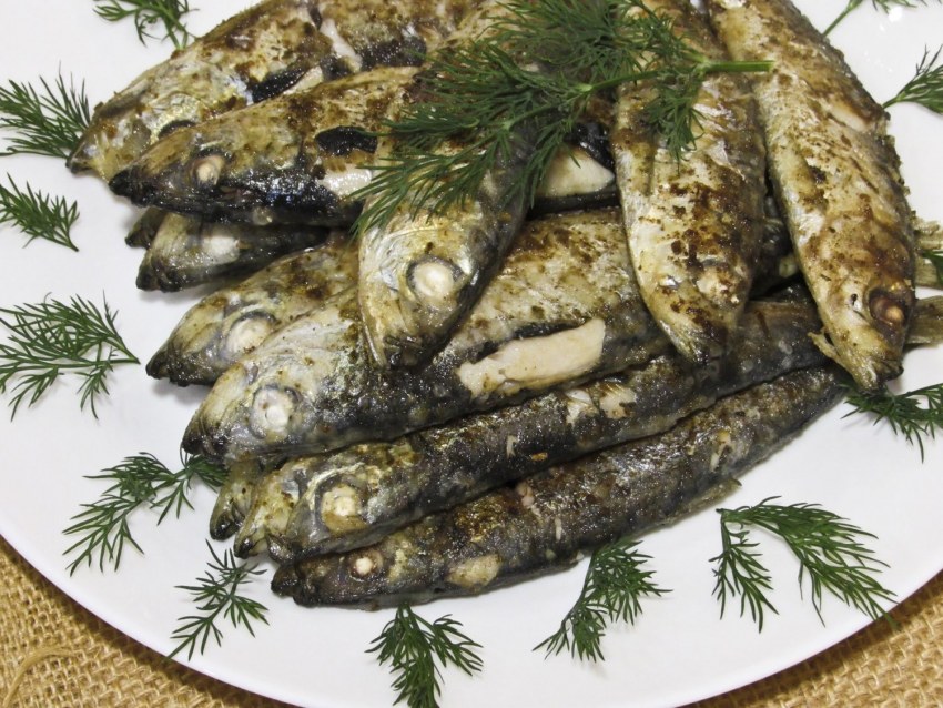 Анчоусы Хамса сардины