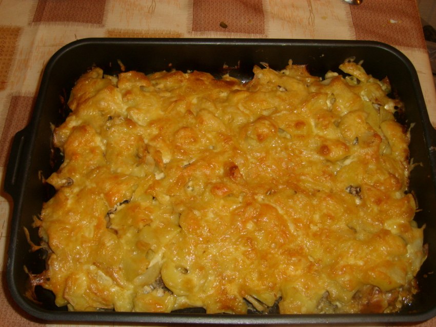 Регина картошка
