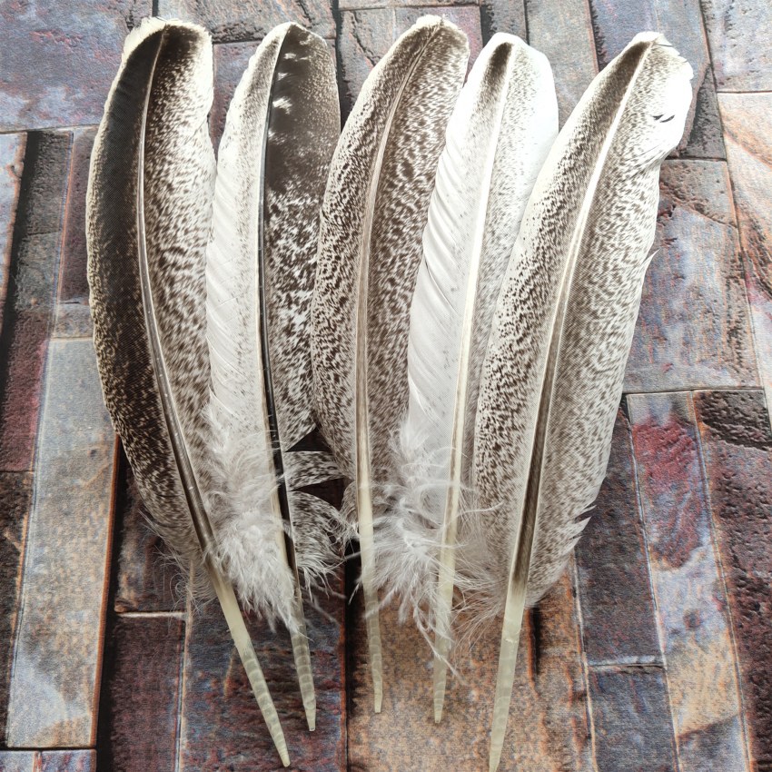 Hareline индюшиные хвостовые перья Cinnamon Turkey Tail Feathers