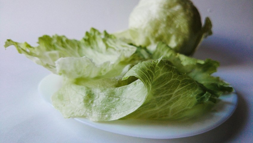 Iceberg lettuce