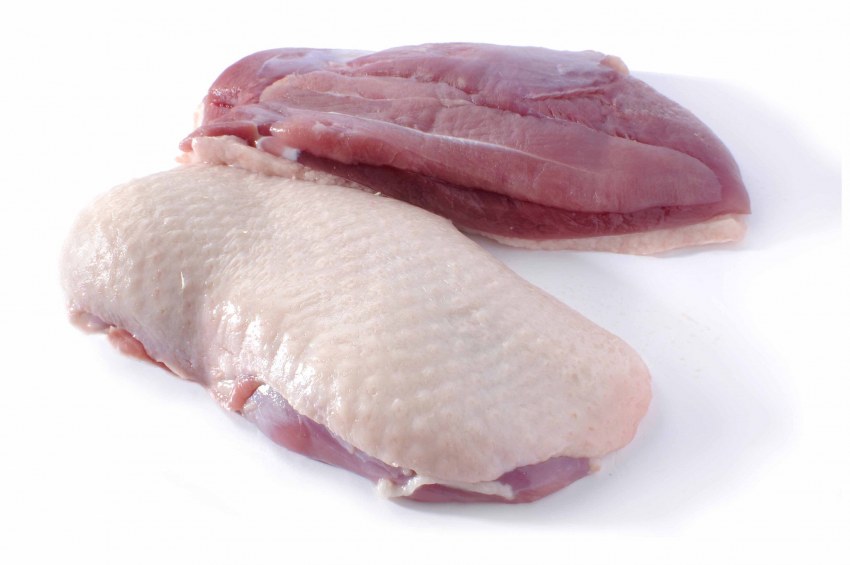 Goose breast