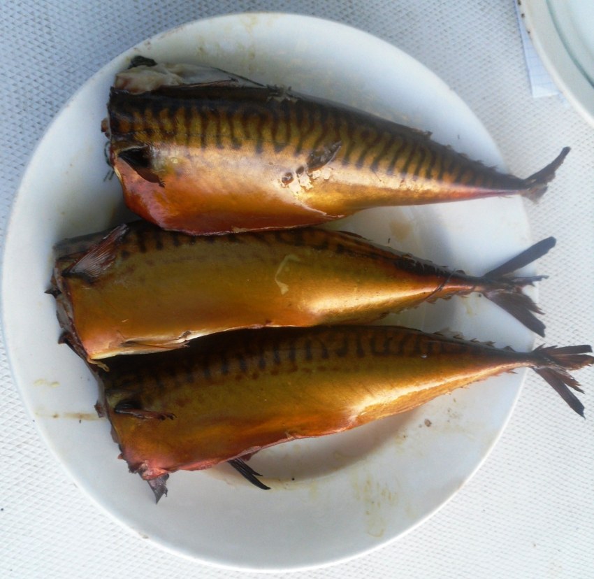Копчение мяса и рыбы