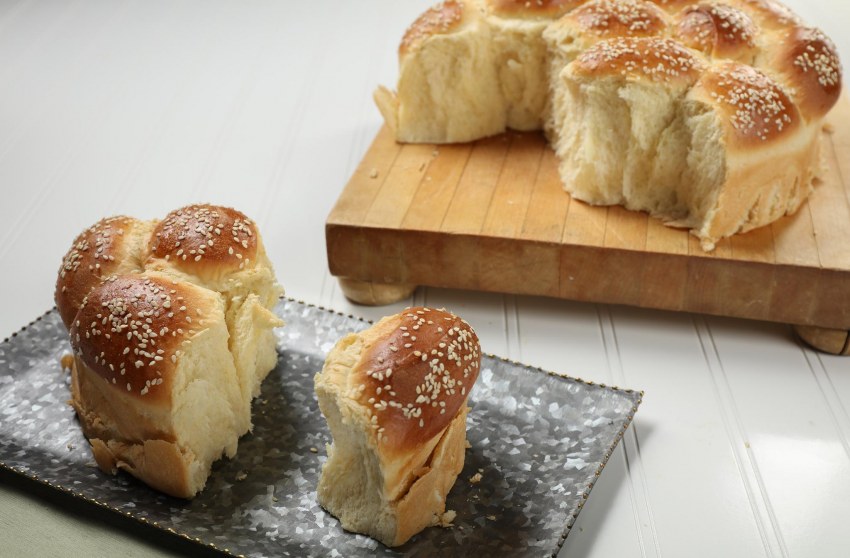 Булки катихи