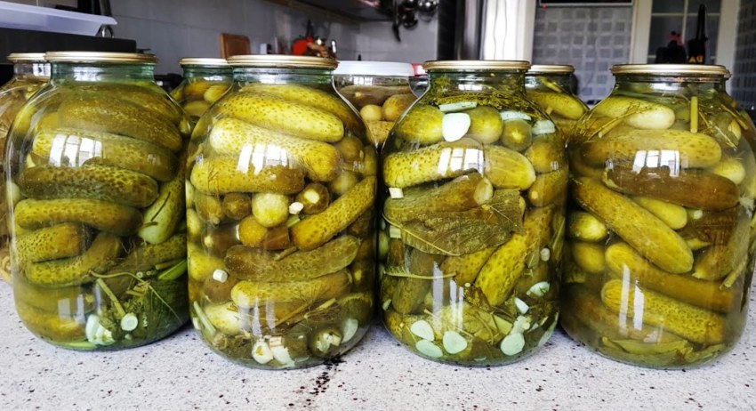 Законсервированные огурцы