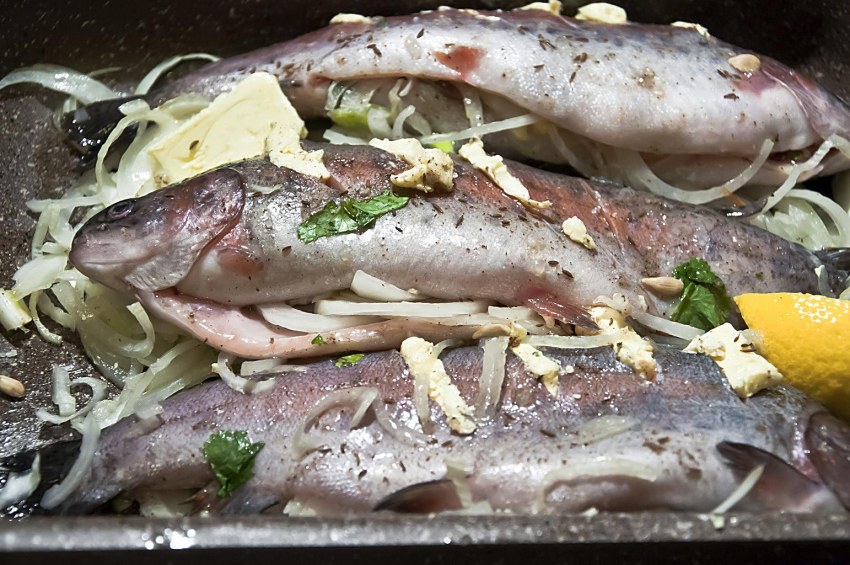 Форель в духовке с сыром