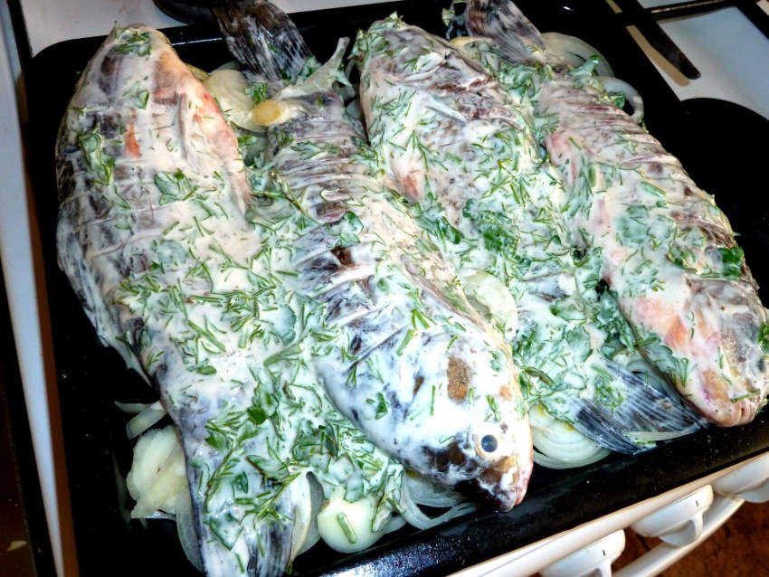 Скумбрия запеченная с луком