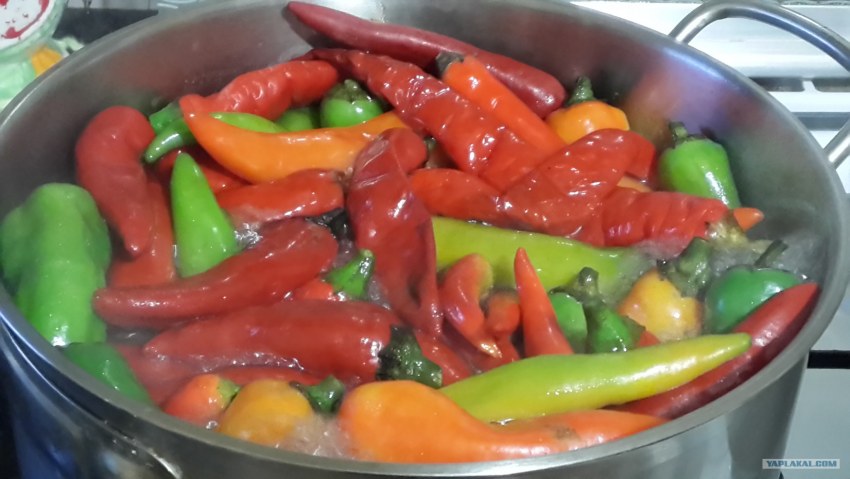 Маринованный Горький перец бланшированный