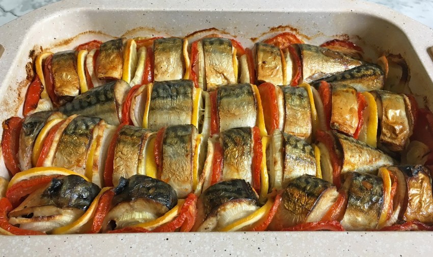 Рыба скумбрия