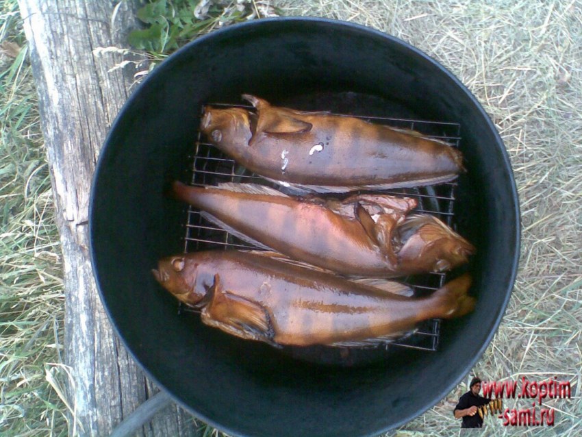 Рыба ставить