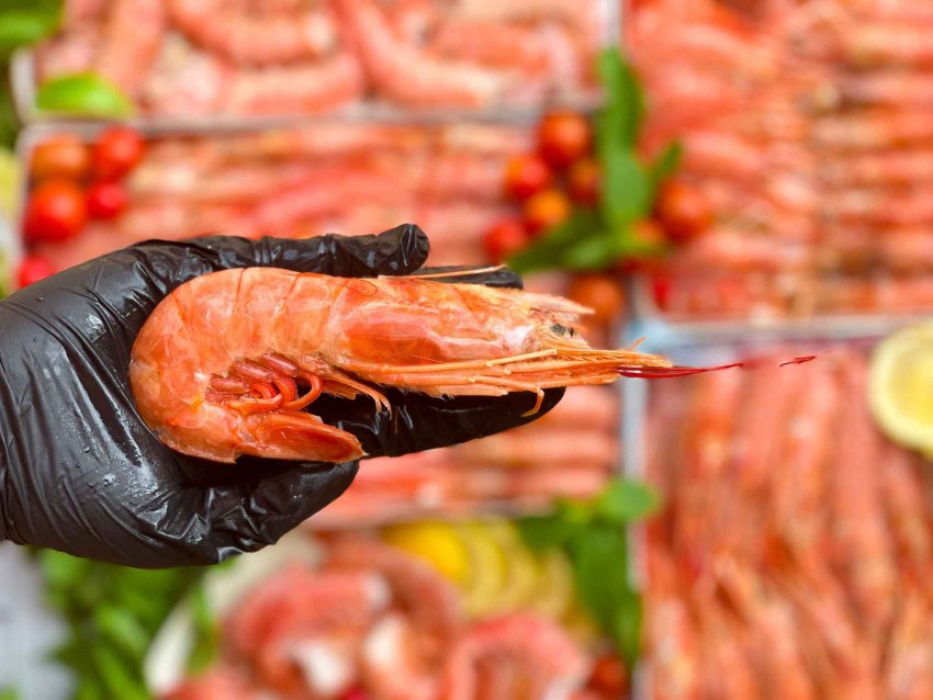 Готовые морепродукты мешают и выдают лопатой в Европе фото
