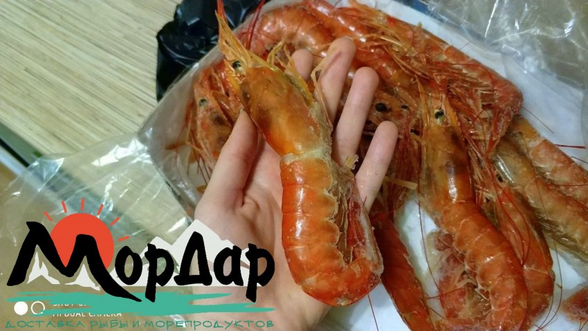 Лангустины Австралия