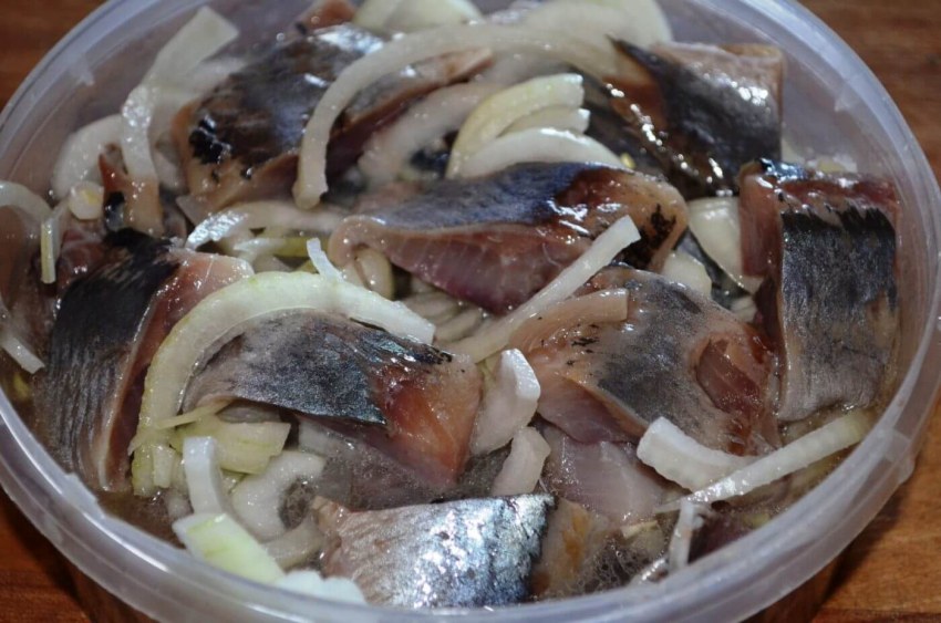 Сельдь и скумбрия