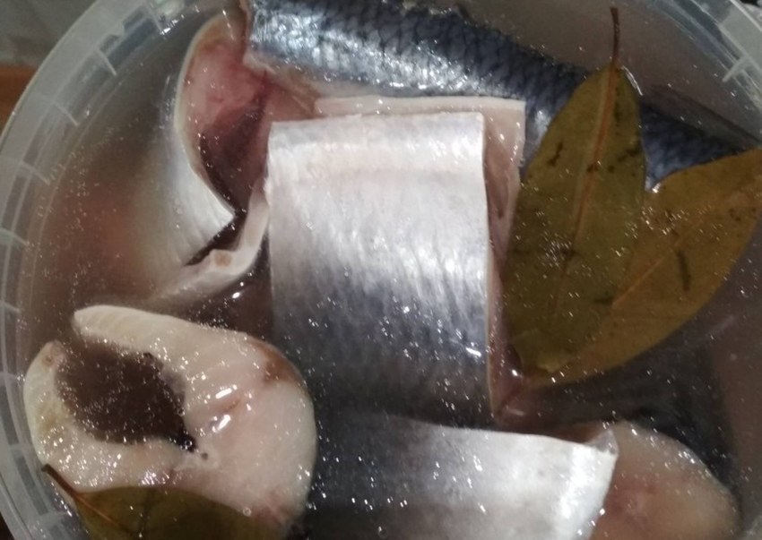 Скумбрия маринованная подача