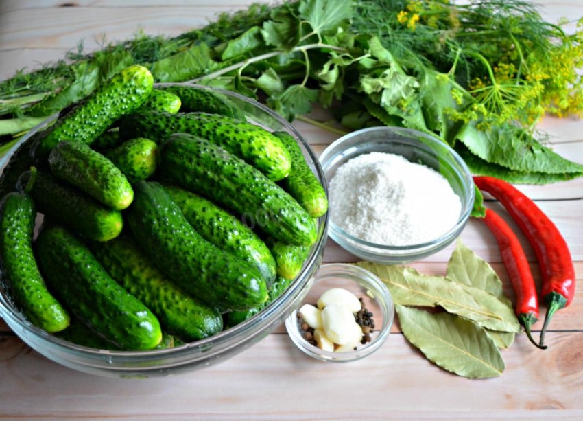 Огурцы для засолки