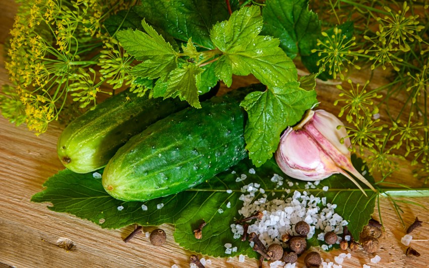 Зелень для соления огурцов