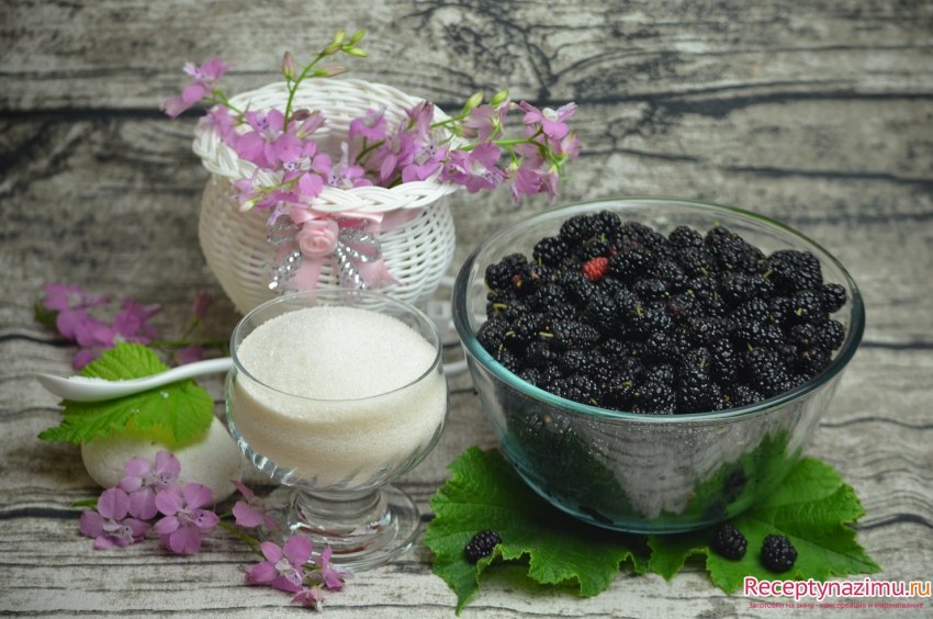 Purple Mulberry