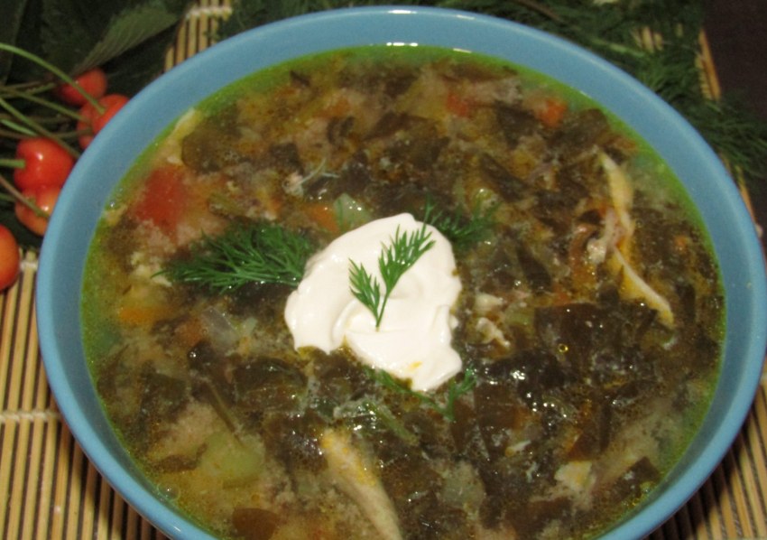 Зеленый борщ на курином бульоне